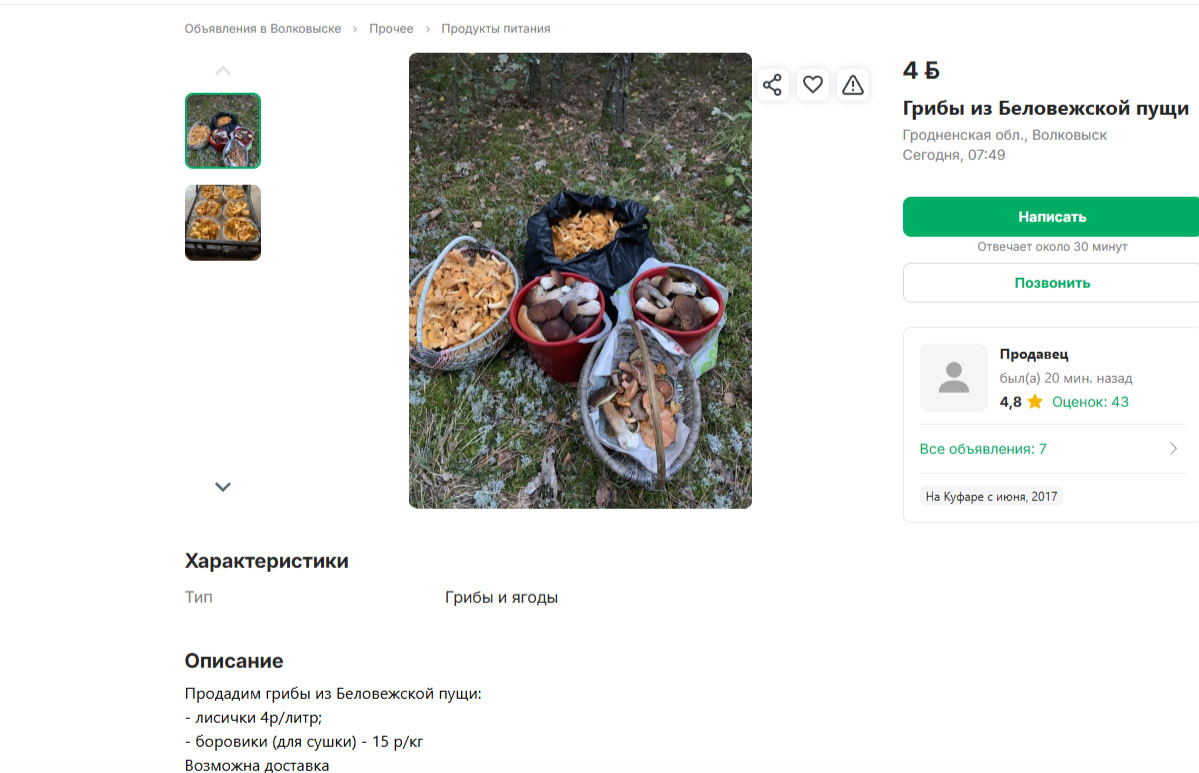 Где в Минске купить грибы и не переплатить: на рынке или по объявлениям